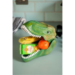 Lunchbox Dinosaure