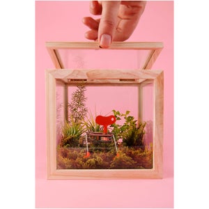 Square Storage Box - Glass