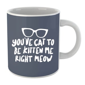 You've Cat To Be Kitten Me Mug