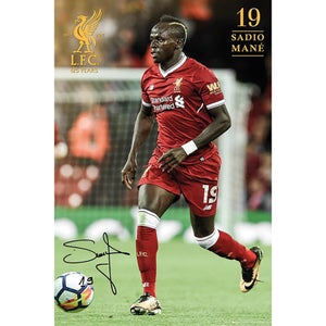 Liverpool Mane 17/18 Maxi Poster 61 x 91.5cm