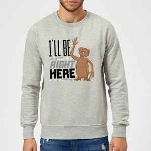 ET Ill Be Right Here Pullover - Grau