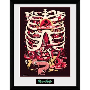 Rick and Morty Anatomy Park 12 x 16 Inches Framed Photograph