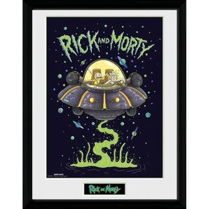 Rick and Morty Ship 12 x 16 Inches Framed Photograph