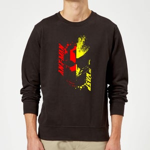 Ant-Man And The Wasp Split Face Pullover - Schwarz