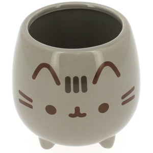 Pusheen 3D Planter