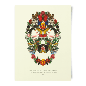 Natural History Museum Skull Of Wildlife Art Print
