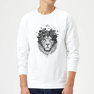 Balazs Solti Lion And Flowers Sweatshirt - White