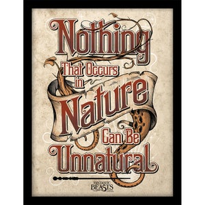 Fantastic Beasts (Nature) Framed 30 x 40cm Print