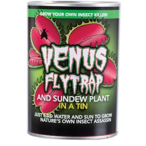 Wachsen Sie Ihre eigene Venusfliegenfalle