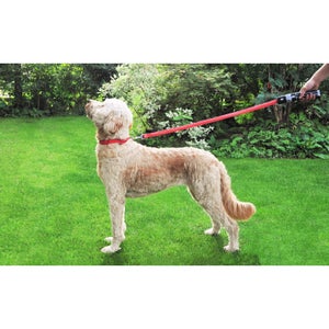 Star Wars Lightsaber Dog Lead - Darth Vader