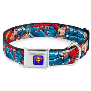 Buckle-Down DC Comics Superman Action Dog Collar - Blue (Various Sizes)