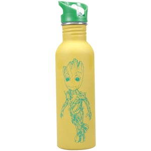 Marvel Guardians of the Galaxy Water Bottle - Groot