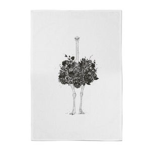 Ostrich Cotton Tea Towel