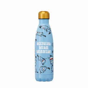 Funko Homeware Disney Aladdin Official Wish Granter Metal Water Bottle