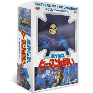 Super7 Masters of the Universe Vintage - Skeletor Japanese Box