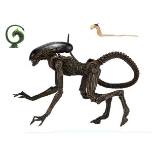 NECA Alien 3 - 7" Scale Action Figure - Ultimate Dog Alien