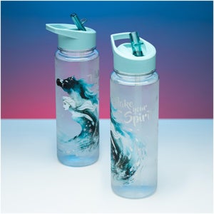 Frozen 2 Water Bottle
