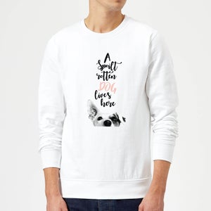Candlelight A Spoilt Rotten Dog Lives Here Jack Russell Sweatshirt - White