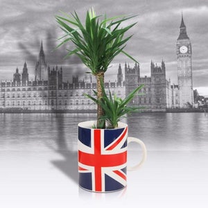 Giant Union Jack Mug Plant Pot