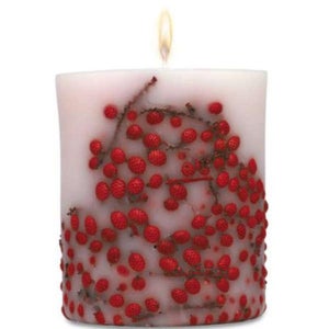 Acqua Di Parma Fruit and Flower Candle (Red Berries Precious Wood) - 900g
