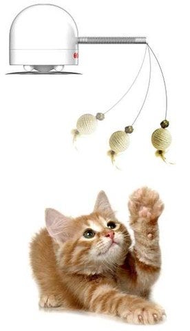Frolicat Twitch