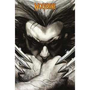 Marvel Extreme Wolverine Claws - Maxi Poster - 61 x 91.5cm