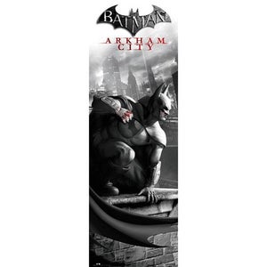 Batman Arkham City Cover - Midi Poster - 30.5cm x 91.5cm