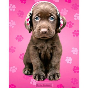 Keith Kimberlin Chocolate Labs Headphones - Mini Poster - 40 x 50cm