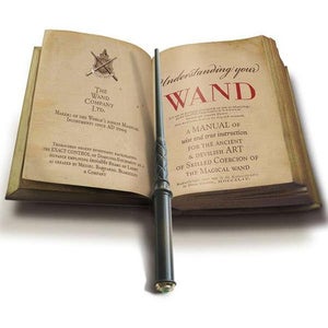 The Magic Wand TV Remote Control