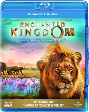 Enchanted Kingdom 3D