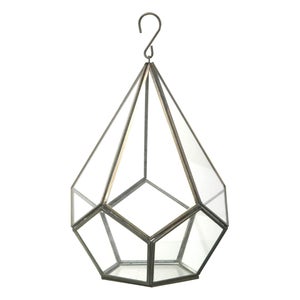 Parlane Hanging Glass Terrarium