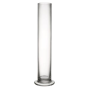 Parlane Glass Narrow Footed Vase - Clear (30cm)