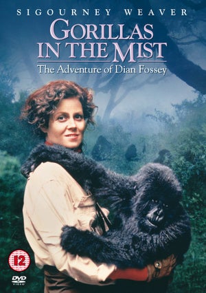 Gorillas In The Mist