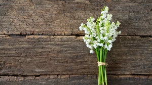 Mother’s Day Gift Guide