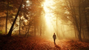 Things to Do in Autumn for Fresh Air