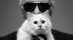 National Cat Day with Karl Lagerfeld and Choupette
