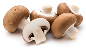 Mushroom Benefits for Your Skin and How Its the Latest in Skin Care