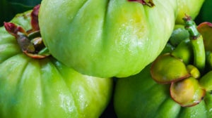 I Benefici della Garcinia Cambogia per la Perdita di Peso…e non Solo!