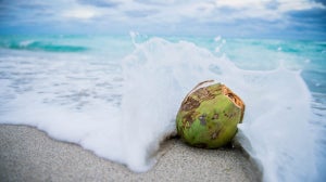 Coco loco med kokosvand | En sund og naturlig energidrik