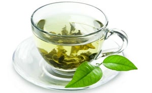 Moringa Tea Health Benefits | Usages, Dosages