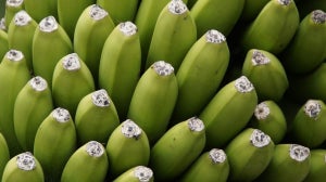 Rezept des Tages | High Protein Mango Bananen Kuchen