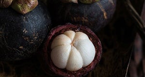 Garcinia cambogia | Qué es, Cómo tomar y Propiedades