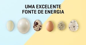 Os benefícios dos ovos na Páscoa – Proteína e energia