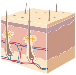 10 Gross Facts About Your Skin that Skincare Cant Help