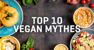 Top 10 Vegan Mythes | Infographic