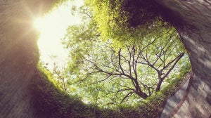 The Explore Series | Part Two – A sunny disposition