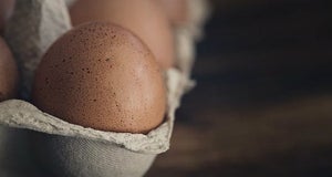 Egg Protein | White Or Yolk?