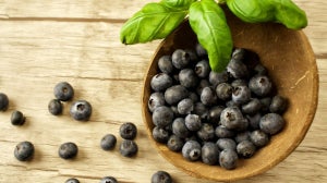What Is Maqui Berry Powder? | Benefits & Usage