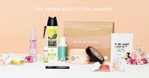 Your Complete Vegan Limited Edition Box Guide