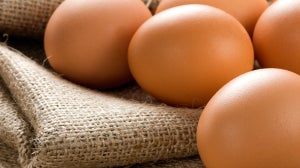 Jajka – Czy są zdrowe?